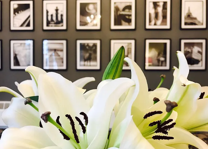 Best Cheap Hotels in Torquay Devon