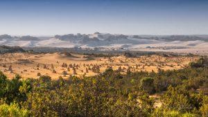 Western Australia Pinnacle Desert landscape