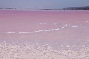 Western Australia Pink lake