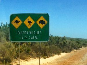Western Australia cartellone