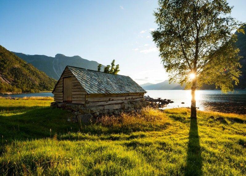 La fertile area dell'Hardangerfjord, Norvegia
©Justin Foulkes/Lonely Planet