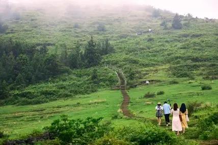 Eine Wanderung durch die wunderschönen Landschaften der Insel Jejudo, vorbei an Bergen und dem weiten Ozean, wird Sie ganz schnell mit neuer Energie erfüllen