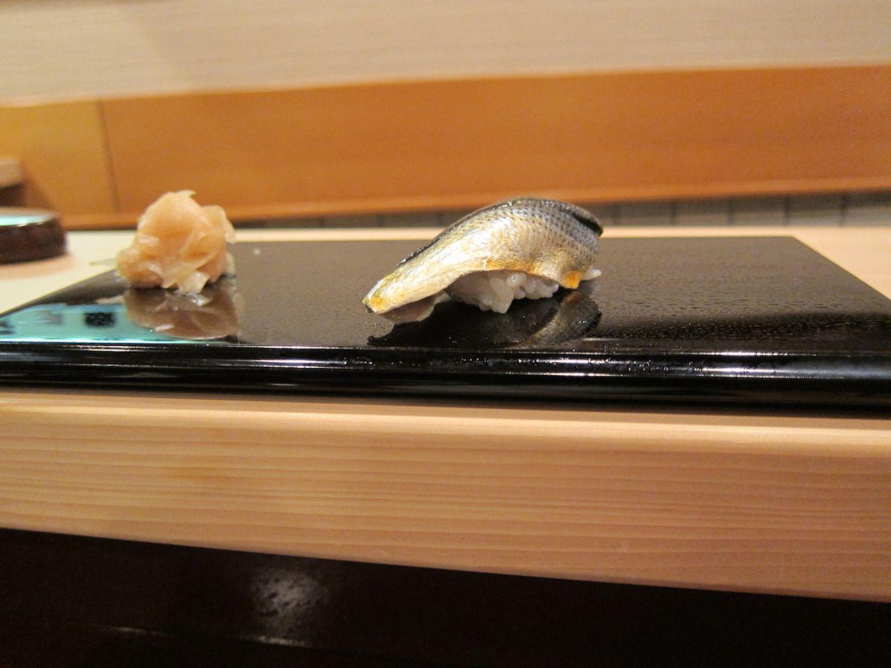 Gizzard shad -- herring, but different.