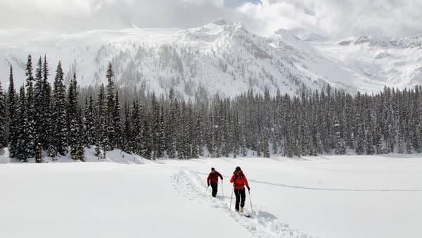 In the Purcells in British Columbia.